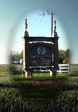 Blue Willow Garden & Landscape Design Centre